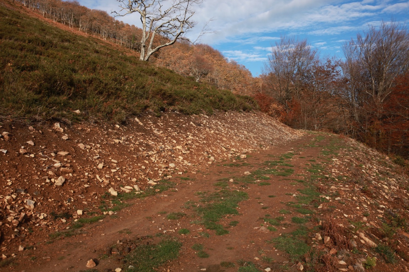 Un conjunto de árboles

El contenido generado por IA puede ser incorrecto.