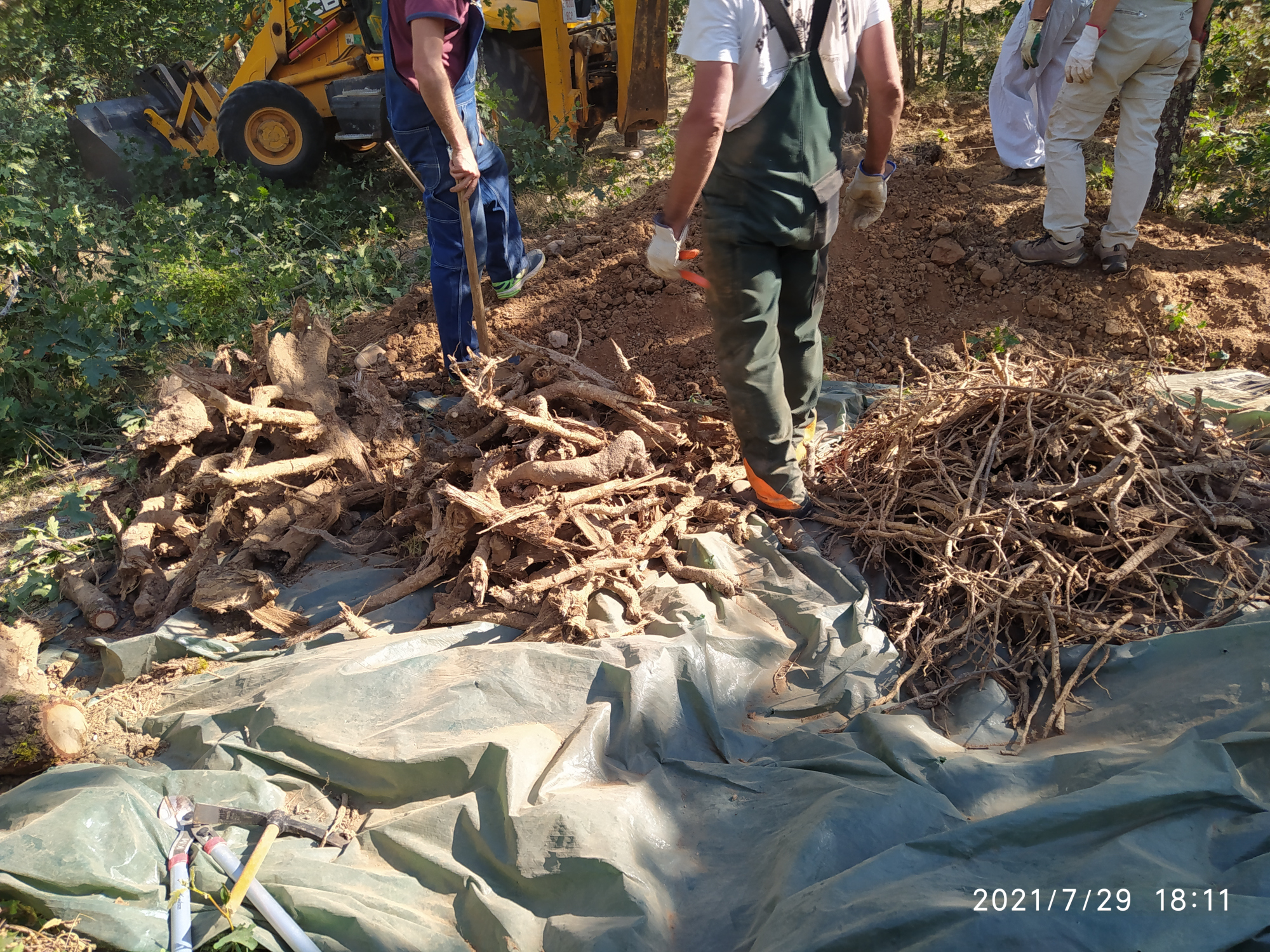 Muestras seleccionadas para pesar