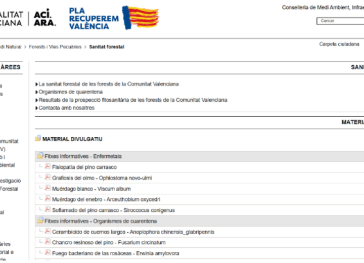 Figura 1