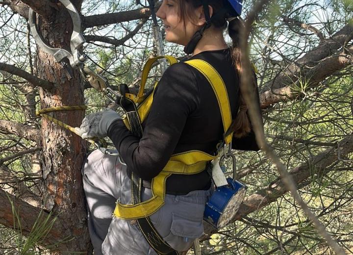 Escuela de piñeros/as