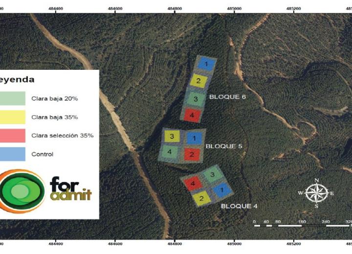 Ubicación de los tres bloques experimentales