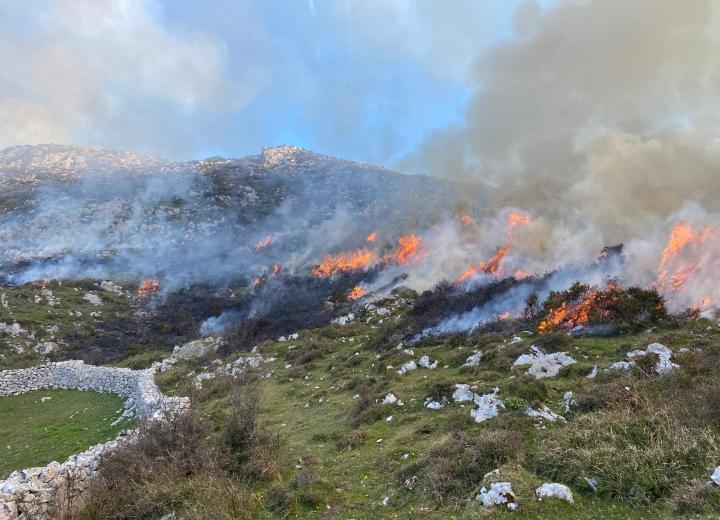 Figura 1. Realización de quema de mantenimiento en brañas o camperas en MUP Nº283. Quema por puntos sobre el matorral. Fuente:  EPRIF Cangas de Onis