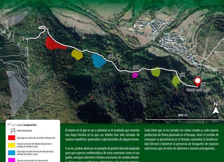  Figura 1. Ruta por el bosque demostrativo de Rioscuro (León). Fuente. Life osos con futuro. Fundación del patrimonio natural de Castilla y León. Contexto 