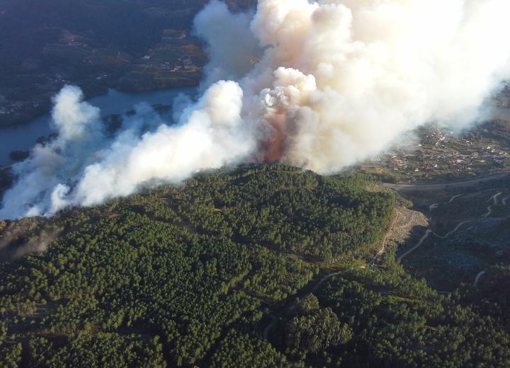 Figura 1. Incendio forestal afectando al Monte San Torcuato. Fuente. Técnico distrito XI