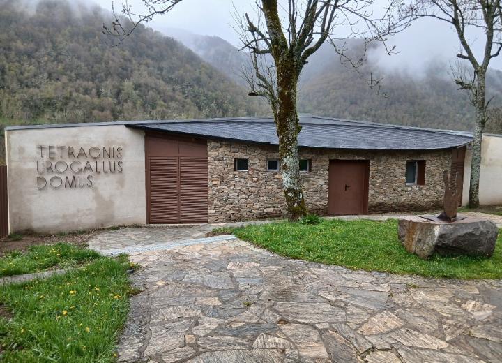 Figura 1. Voladero de urogallos. Centro del Urogallo. Caboalles de Arriba. León. Fuente REMP