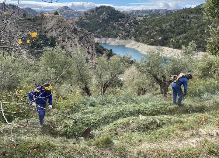 Recuperación acequia