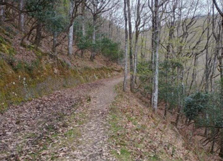 Pista montana Gijano Mena