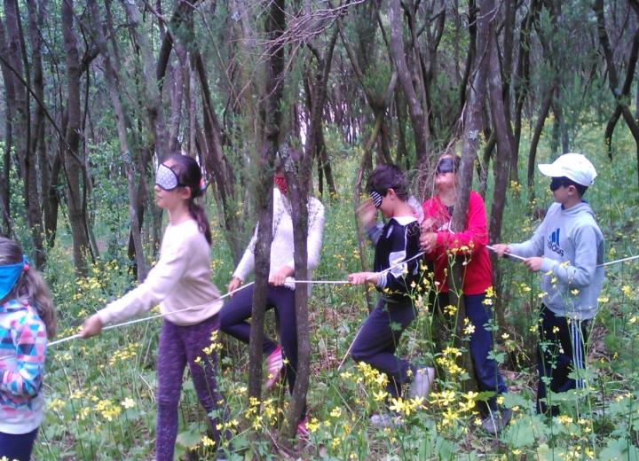 Fig. 1. Excursión al monte con alumnado de 5.º de Primaria. Programa BROTES, Tenerife.