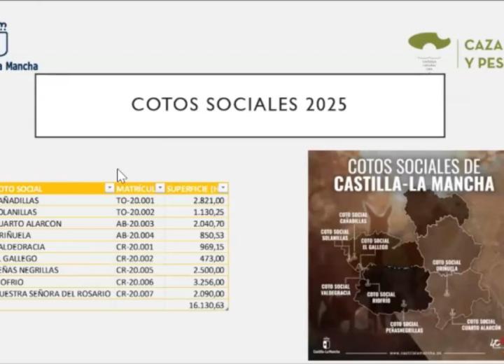 cotos sociales Castilla La Mancha