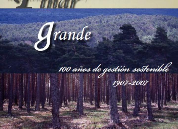 pinar grande centenario