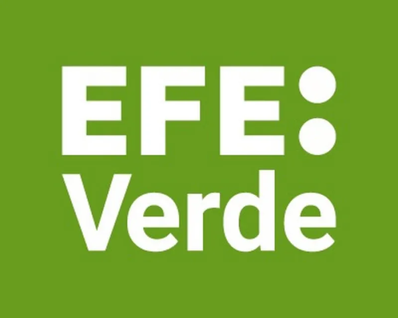 Logotipo EFE Verde