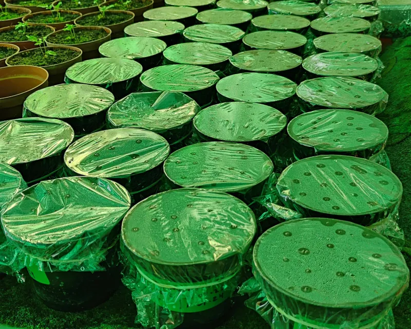 propagacion laboratorio