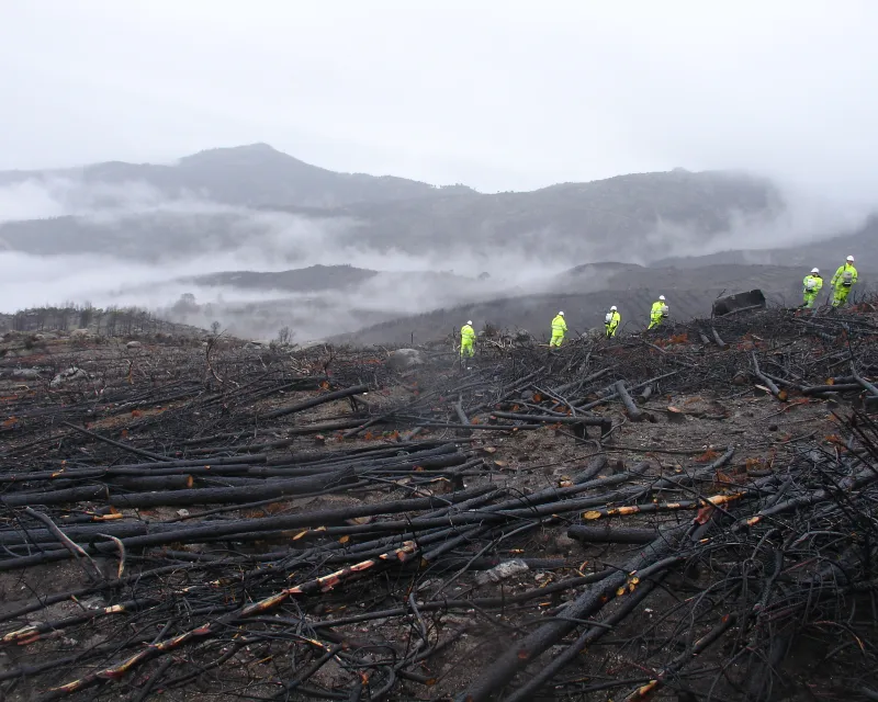 Operarios en operaciones de semillado tras incendio