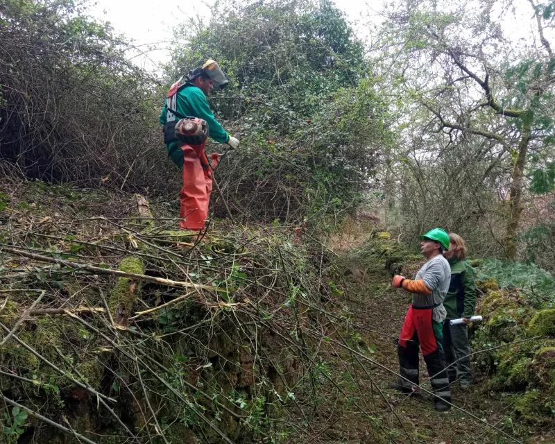 FOTOS_RECUPERACION_CAMINOS