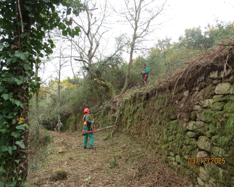 FOTOS_RECUPERACION_CAMINOS