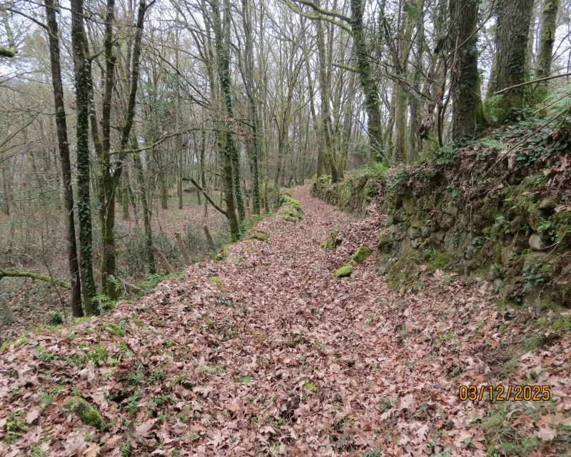 FOTOS_RECUPERACION_CAMINOS