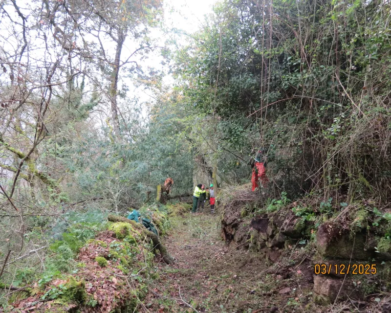 FOTOS_RECUPERACION_CAMINOS