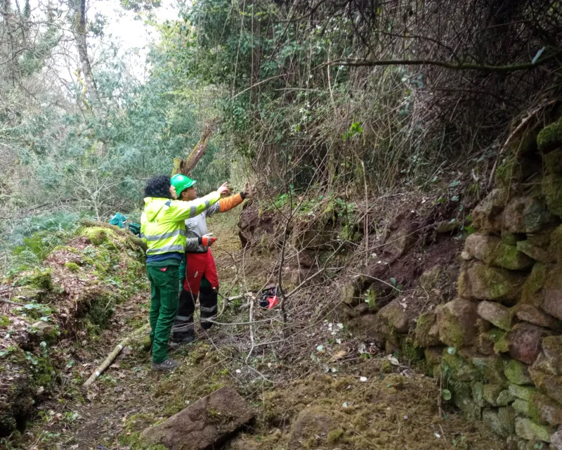 FOTOS_RECUPERACION_CAMINOS