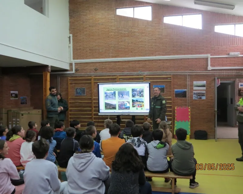 depende-de-todos--(10)