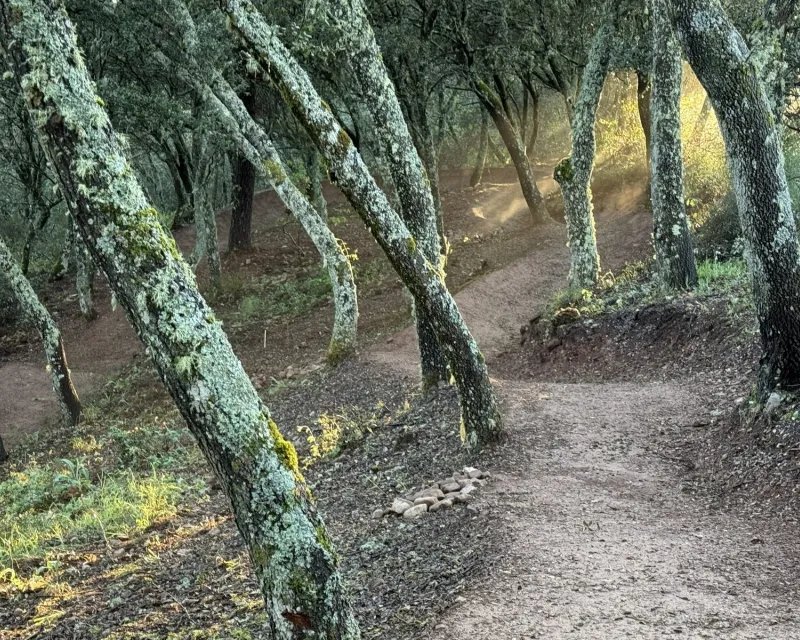 TRAILCENTER-LA-COLMENA2