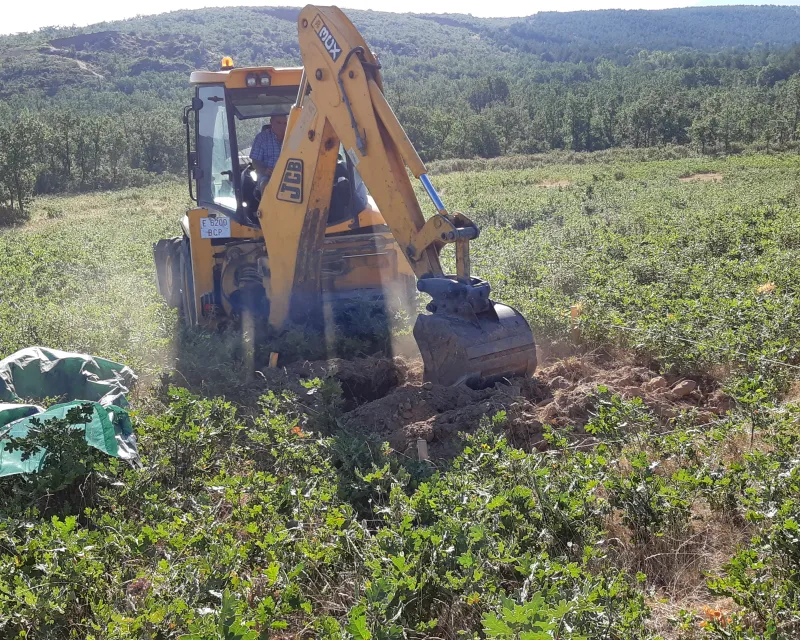 Excavación parcela y separaparación para muestreo