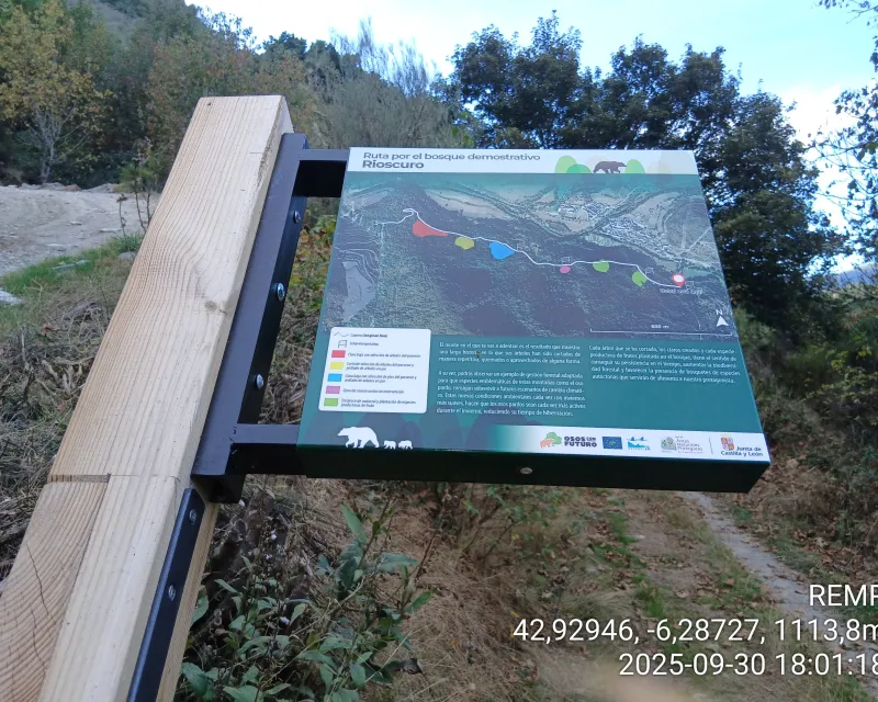 Bosques_demostrativo5