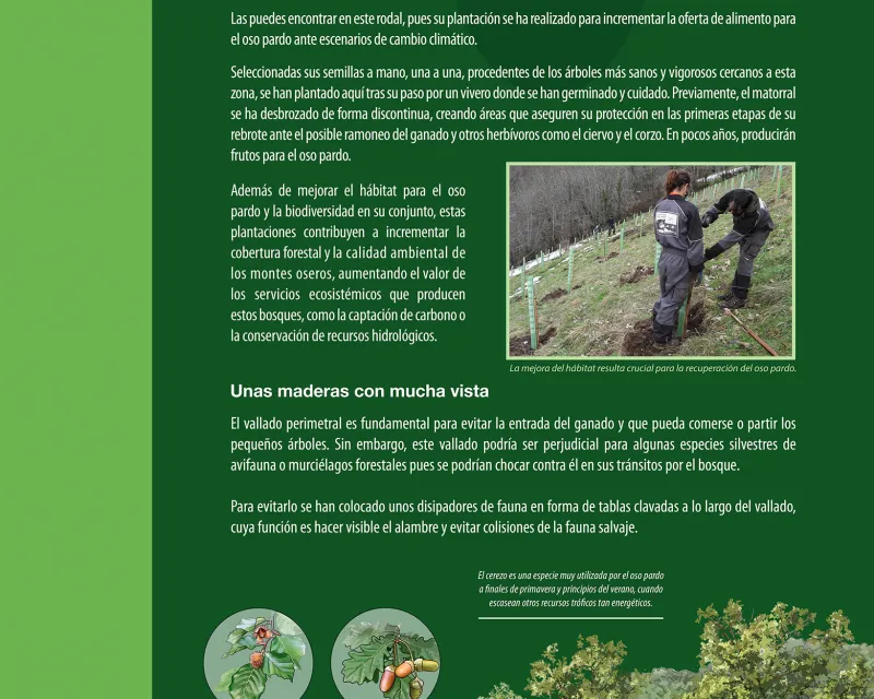 Bosques_demostrativo9