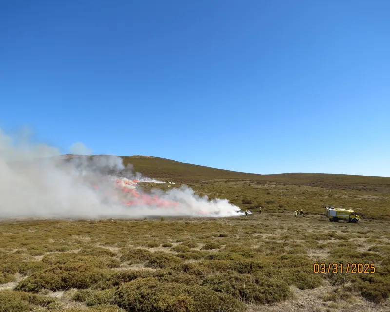 Quema controlada2