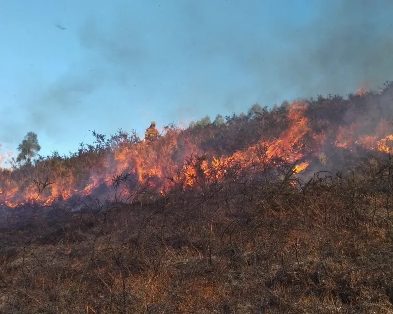 quemas controladas Cantabria (1)6
