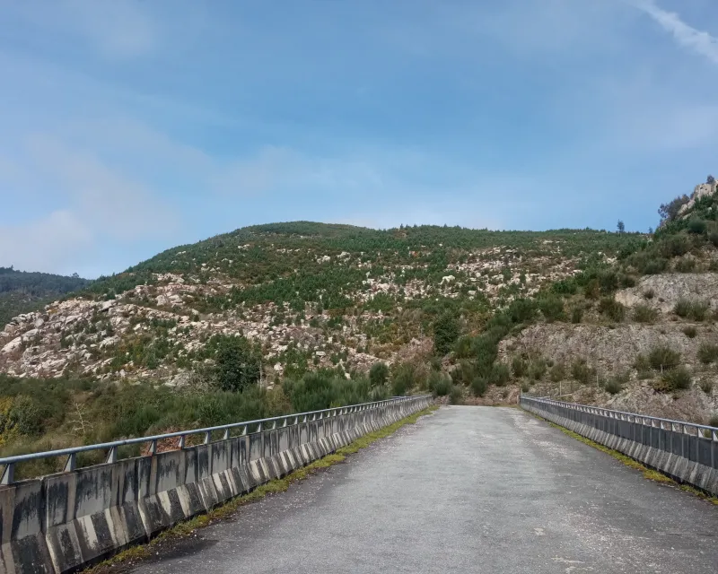 recuperacion superficies quemadas (1)