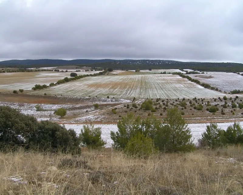 Vista de islotes forestales y linderos. Febrero de 2014.