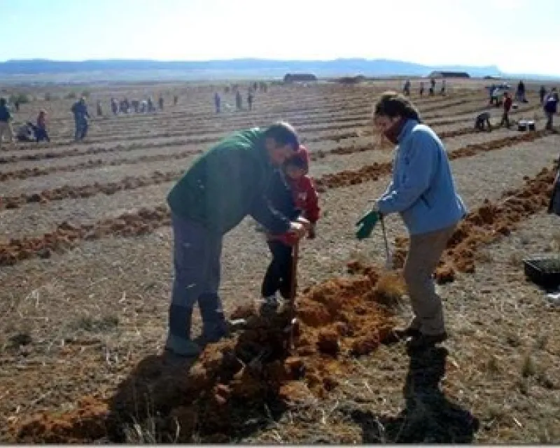 Jornada de plantación con escolares. Marzo de 2004