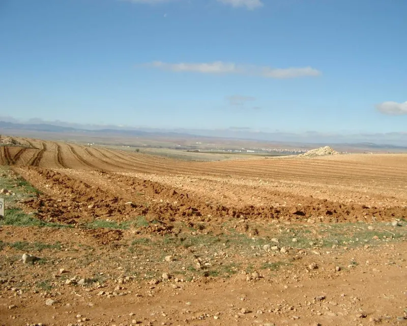 Parcela subsolada, lista para su plantación con voluntarios, junto al lote de cultivo nº 39. Noviembre de 2002