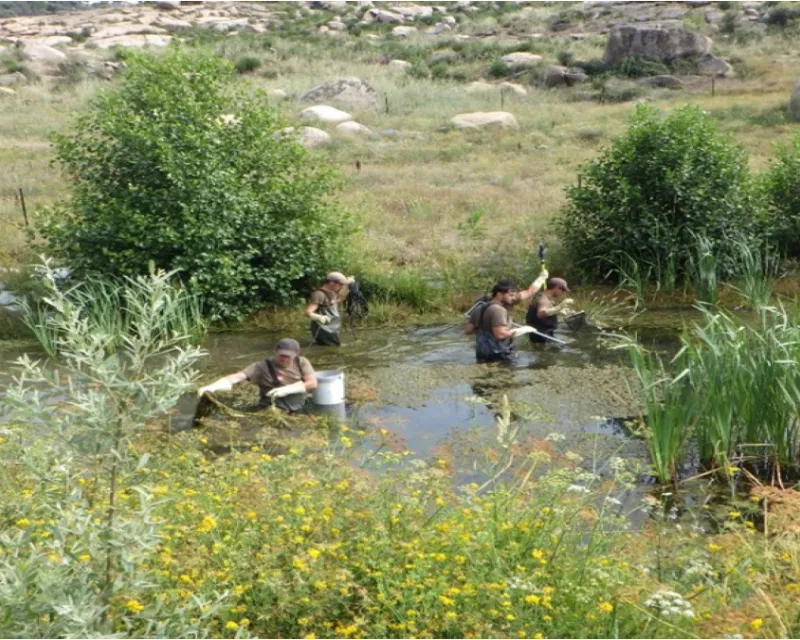 Jornada de pesca eléctrica en junio de 2023