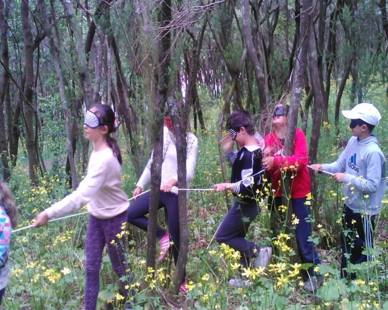 Excursión al monte con alumnado de 5.º de Primaria. Programa BROTES, Tenerife