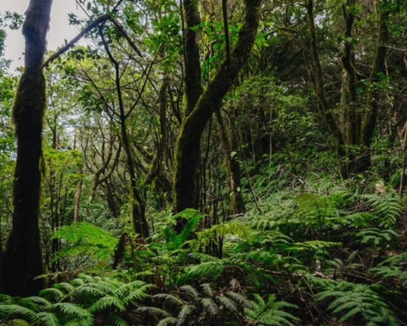 PRuralAnaga-de-europapress