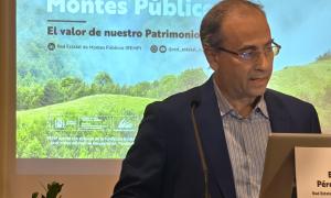 I Congreso sobre Montes Públicos