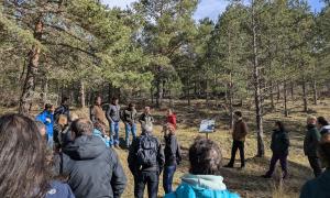 II Congreso Estatal sobre Montes Públicos