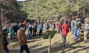 II Congreso Estatal sobre Montes Públicos