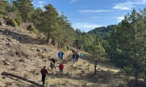 II Congreso Estatal sobre Montes Públicos