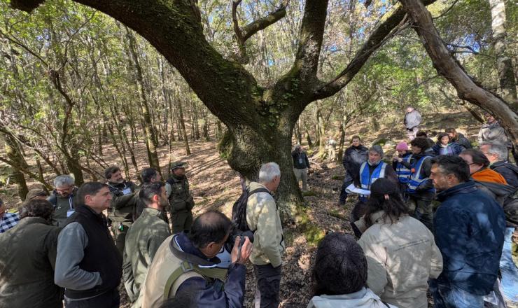 Jornada Selvicultura de Cubierta Continua en masas de Q. Canariensis en Alcalá de los Gazules