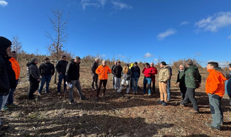 Salida de campo de la Jornada Técnica de Restauración Posincendios Forestales