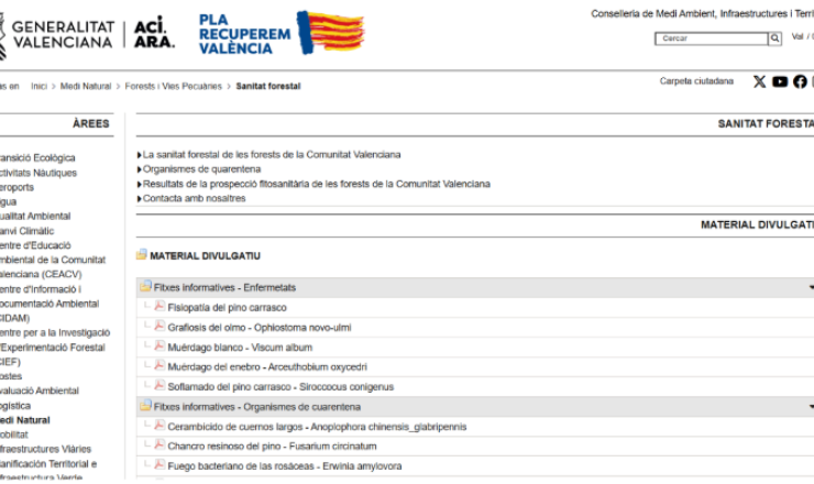 Figura 1