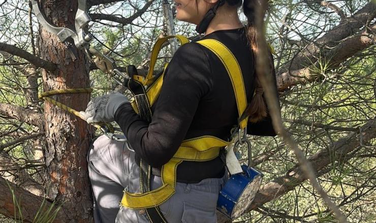 Escuela de piñeros/as
