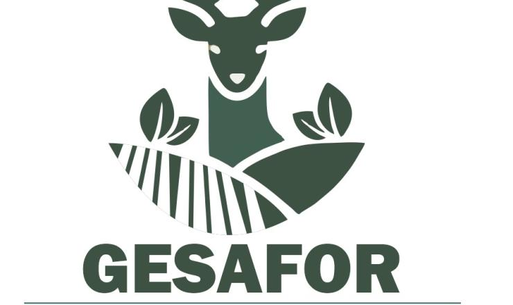 logotipo