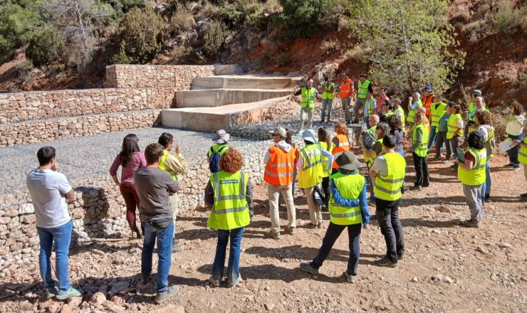 JT sobre Restauración Hidrológico-Forestal en Valencia