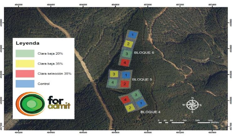 Ubicación de los tres bloques experimentales