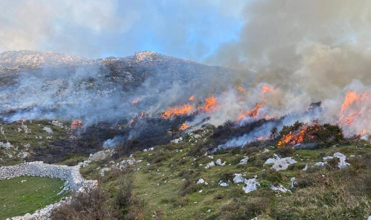 Figura 1. Realización de quema de mantenimiento en brañas o camperas en MUP Nº283. Quema por puntos sobre el matorral. Fuente:  EPRIF Cangas de Onis