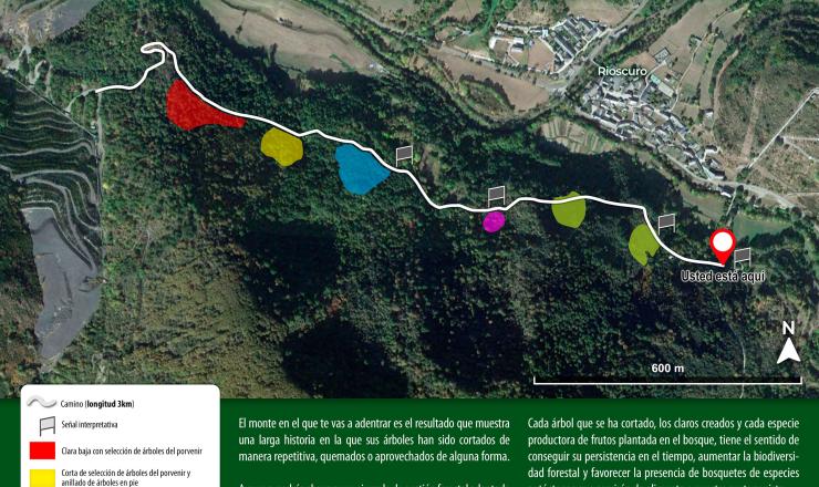  Figura 1. Ruta por el bosque demostrativo de Rioscuro (León). Fuente. Life osos con futuro. Fundación del patrimonio natural de Castilla y León. Contexto 