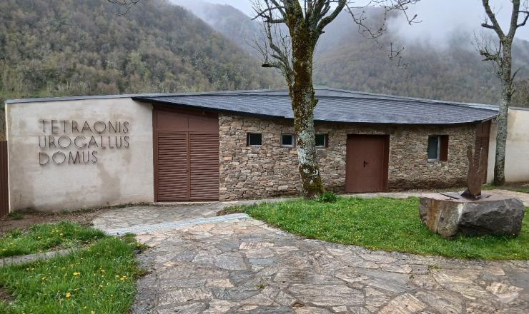 Figura 1. Voladero de urogallos. Centro del Urogallo. Caboalles de Arriba. León. Fuente REMP